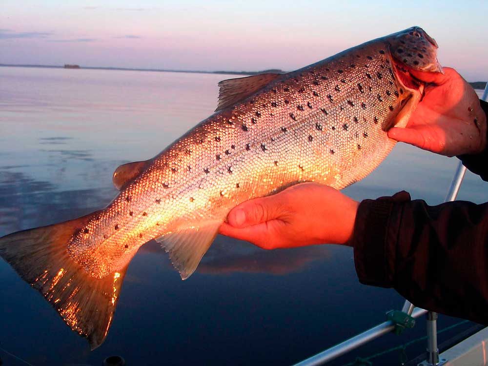 В Финляндии рыбачат круглый год